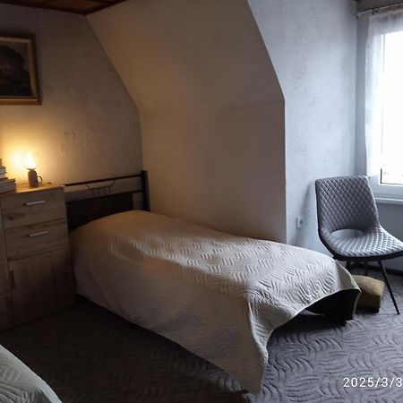 ハルツゲローデ Ferienhaeuschen Berg Und Talヴィラ エクステリア 写真