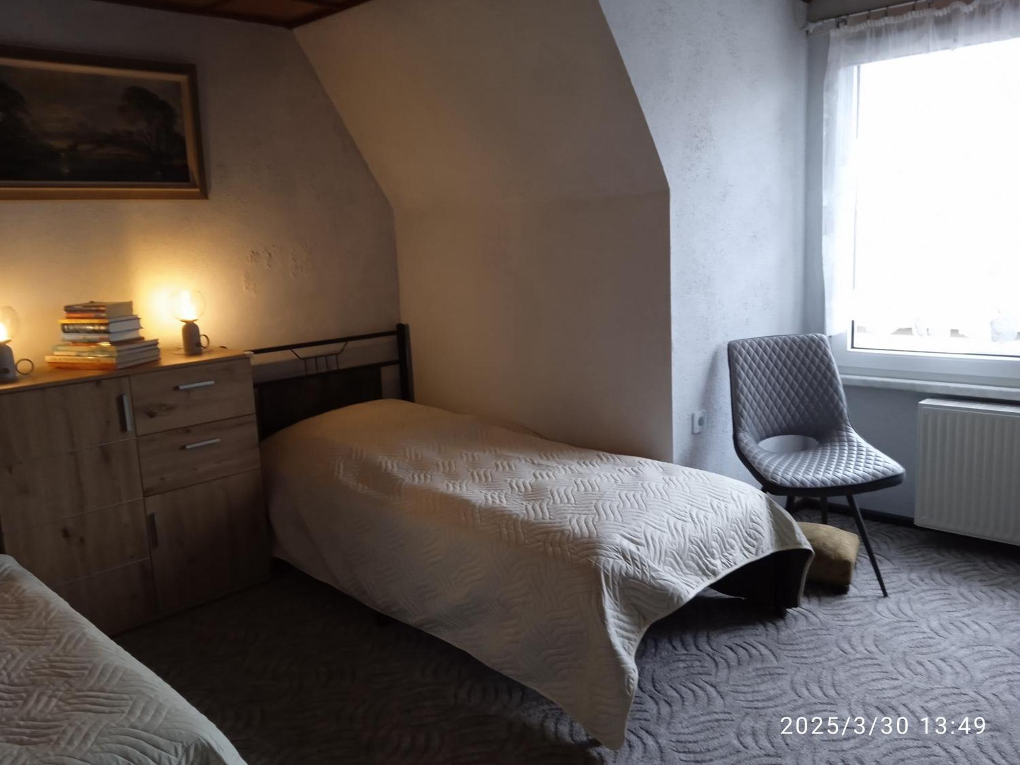 ハルツゲローデ Ferienhaeuschen Berg Und Talヴィラ エクステリア 写真