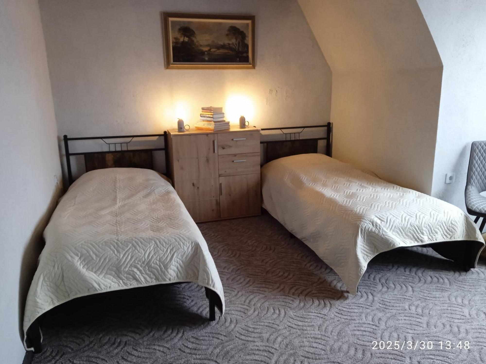 ハルツゲローデ Ferienhaeuschen Berg Und Talヴィラ エクステリア 写真